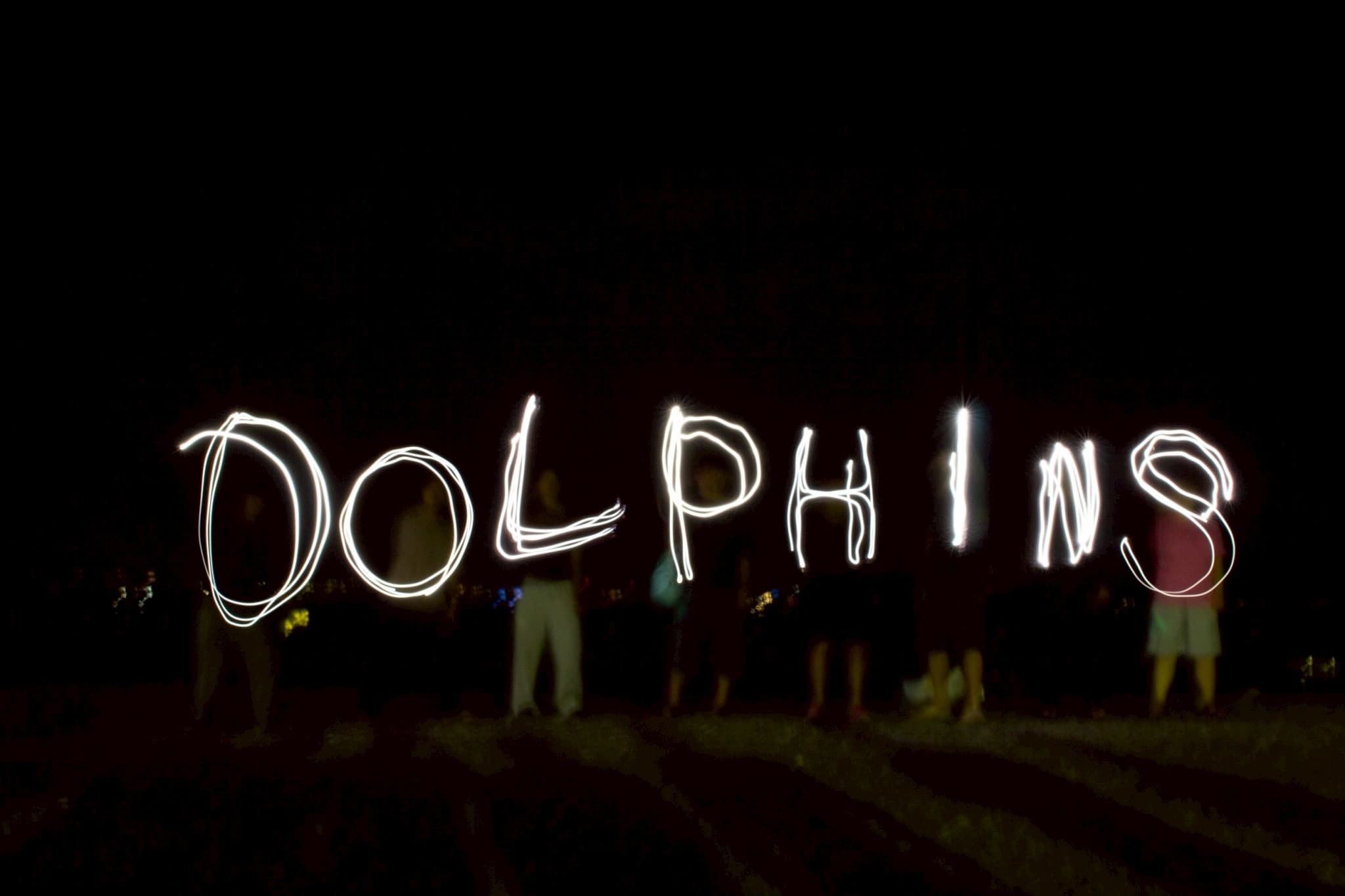 Dolphins